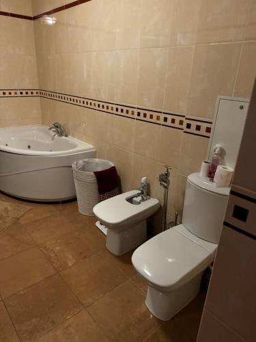 a bathroom with a toilet and a sink and a tub at Jūras Pils Bulduru 33-25 in Jūrmala