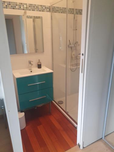 une salle de bain avec un lavabo et une douche dans l'établissement Chambre avec cuisine indépendante à 25 min du capitole, à Auzeville-Tolosane