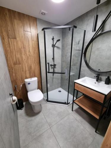 a bathroom with a shower and a toilet and a sink at Brzozowa Przystań in Okuninka