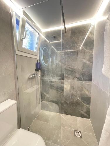a bathroom with a shower and a toilet at Gaia Apartments in Hanioti