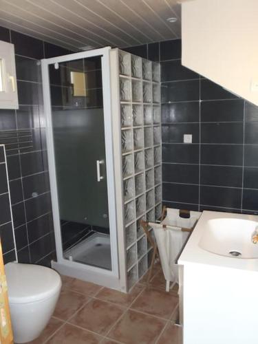 une salle de bain avec une douche, des toilettes et un lavabo dans l'établissement Maison en Provence-Côte d'Azur, au Beausset