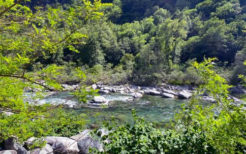 a river with rocks and trees in the background at Camping Piccolo Paradiso in Avegno