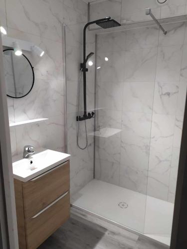 une salle de bain avec douche et lavabo dans l'établissement Studio haute savoie