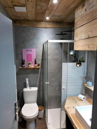 une salle de bain avec toilettes, douche et lavabo dans l'établissement Le Petit BoiSoleil, à Lacanau