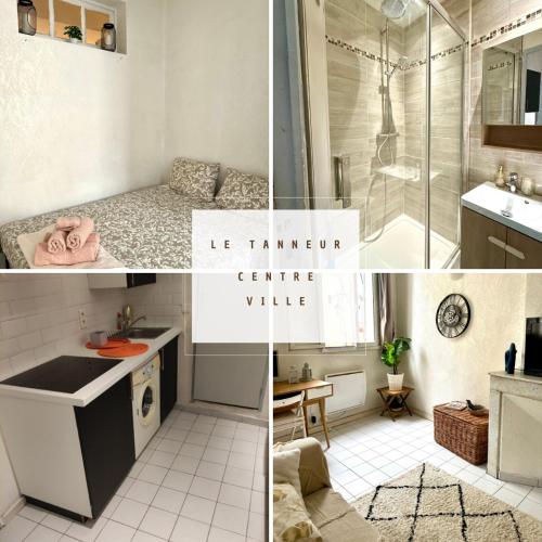 Le Tanneur- Grand Studio 38m2 en centre-ville