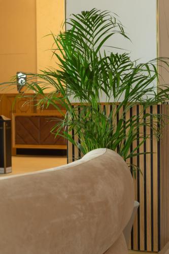 Χώρος καθιστικού στο Hotel Lupa by Bueno
