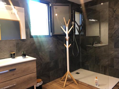 une salle de bain avec douche à l'italienne dans l'établissement LE PIC PONCON, à Gap