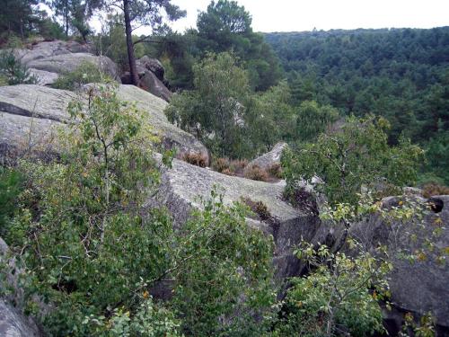 un groupe de rochers et d'arbres sur une montagne dans l'établissement appartement 35 m2 1 à 4 pers - Rickhoss Home, à Samois-sur-Seine