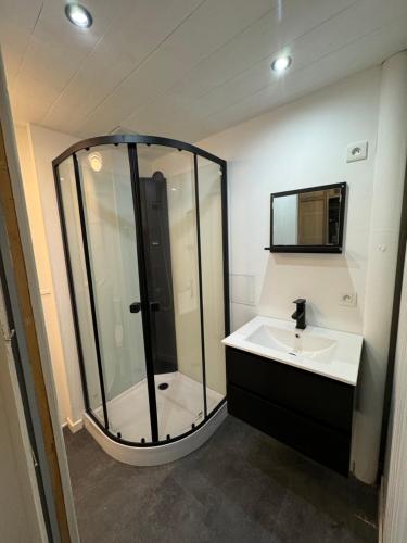 a bathroom with a shower and a sink at Grand studio tout confort sur cour in Champagnole
