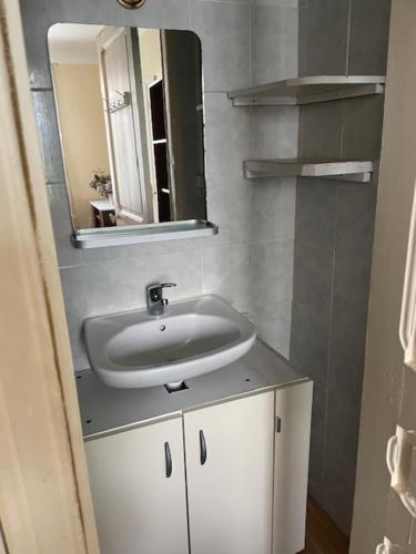 une salle de bain avec un lavabo et un miroir dans l'établissement Charmant T2 bucolique, à Trappes