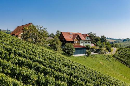 Weingut Juritsch