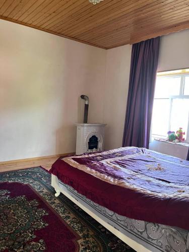 Ảnh trong thư viện ảnh của Casa de Pueblo ở Lerik