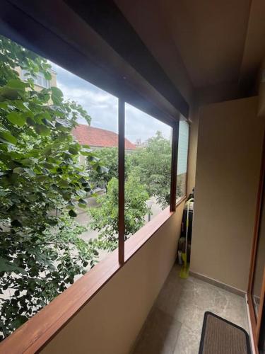 Balkón nebo terasa v ubytování Apartment Filip