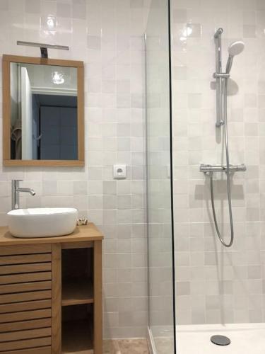 une salle de bain avec un lavabo et une douche en verre dans l'établissement Charmant 2 pièces à 1 min RER D - 5mn Paris Centre, à Alfortville