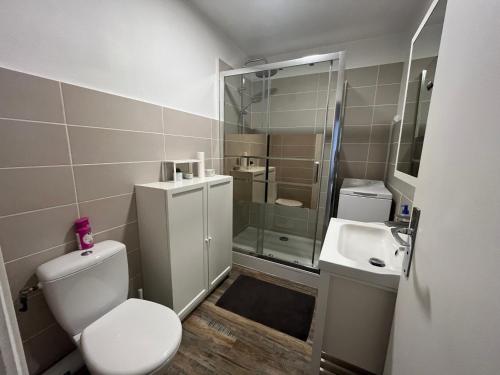 une salle de bain avec toilettes et lavabo dans l'établissement Appartement en ville avec place de parking et wifi, à Sanary-sur-Mer