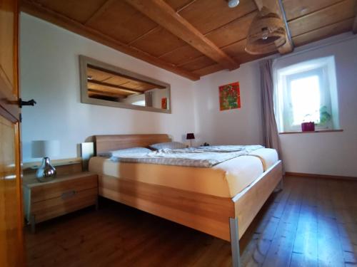 a bedroom with a bed and a window at Alpenpanorama Hägelberg in Steinen