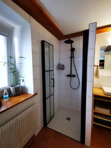 a shower with a glass door in a bathroom at Alpenpanorama Hägelberg in Steinen