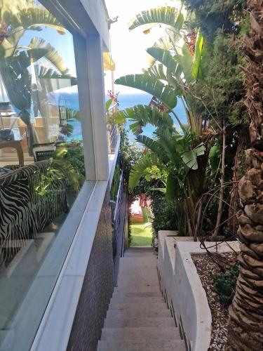 a walkway leading up to a house with plants at Condesa del Mar adults only in Altea