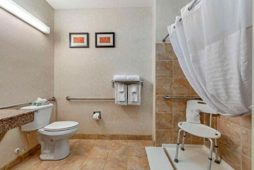 a bathroom with a toilet and a shower curtain at Comfort Suites in Castle Rock
