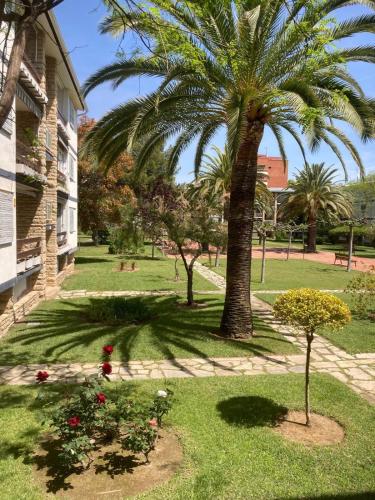 SALOU APARTMENT's MALLORCA