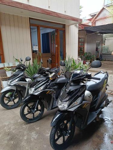 a row of motorcycles parked outside of a building at MyGuide Travellers Inn in Coron