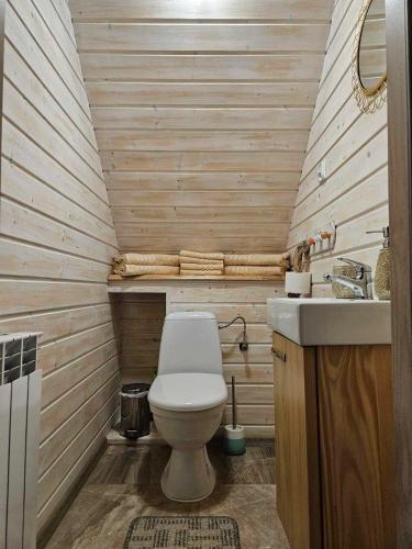 a small bathroom with a toilet and a sink at Domki pod Polaną in Lesko