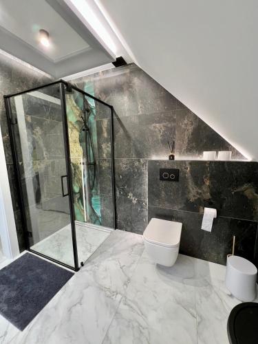 a bathroom with a shower and a toilet at Bieszczadzka Wataha in Paszowa
