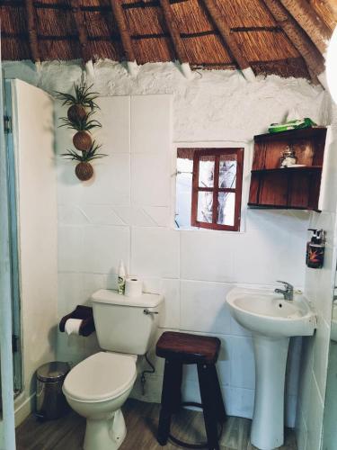 a bathroom with a toilet and a sink at Winterton Country Lodge @ Rose Cottage in Winterton