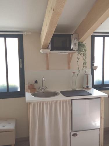 a kitchen with a sink and a microwave at L'atelier des rêves Un moment magique spa privé in Beaune