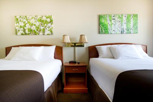 two beds sitting next to each other in a room at Riviera Motor Inn in Saskatoon