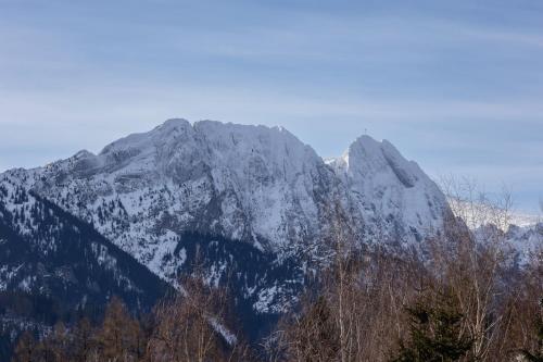 扎科帕内Salwatoriańska Apartments Mountain View Zakopane by Noclegi Renters的山地,在前地的雪中覆盖着树木