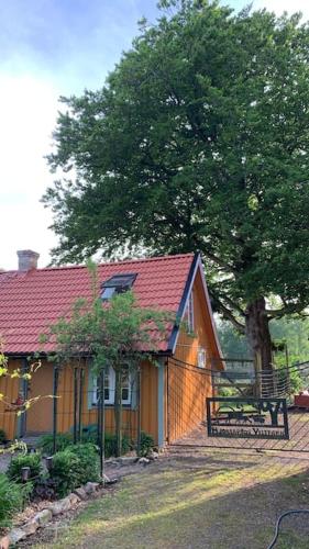 a house with a tree and a bench in front of it at Wildlife-Chalet auf unserer Farm in Tyringe