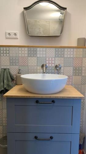 a bathroom with a white sink and a mirror at Wildlife-Chalet auf unserer Farm in Tyringe
