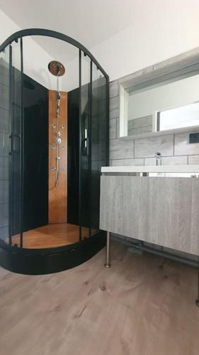 une salle de bain avec une douche, un lavabo et un miroir dans l'établissement Charmante maison Girondine, à La Rivière
