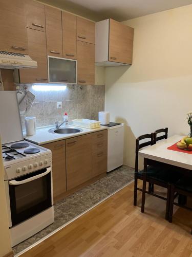 Η κουζίνα ή μικρή κουζίνα στο Peaceful Apartment Simovic