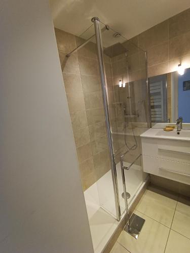 une salle de bain avec douche et lavabo dans l'établissement OLYMPE magnifique vue mer, à Antibes