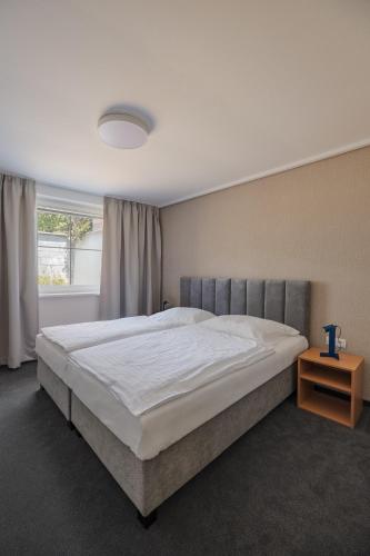 a bedroom with a large bed and a window at Hotel Taxis Bratislava in Bratislava