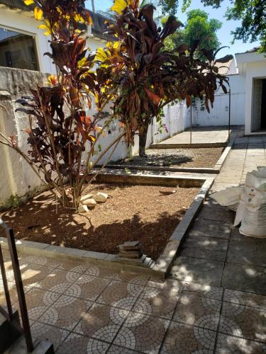 a garden with two trees next to a house at Pousada Monte Gerizim in Sao Paulo