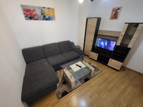 Una sala de estar con un sofá y un televisor. en Stan na dan Prnjavor, Gajba u centru, en Prnjavor