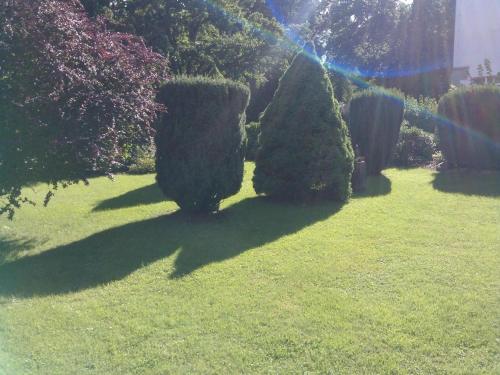 a garden with two large bushes and a rainbow at Einzimmerwohnung im Dachgeschoss in Putbus