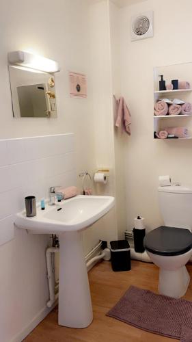 une salle de bain avec un lavabo blanc et des toilettes dans l'établissement HYPER CENTRE, REMPARTS, VIEILLE VILLE , COSY, possible tout faire à pieds, à Boulogne-sur-Mer