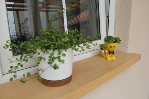 a window sill with two potted plants on it at Apartman Lilium in Knin