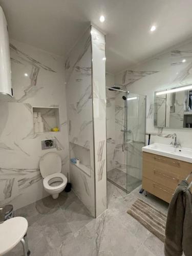 une salle de bain avec une douche, des toilettes et un lavabo dans l'établissement Élégante Maison proche de la Mer, au Tréport