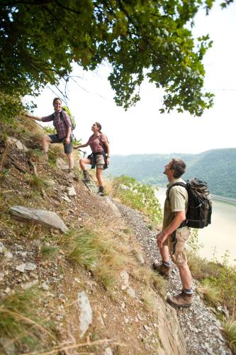 three men walking up a hill on a trail at Winzerhof Ross & Rose in Trechtingshausen