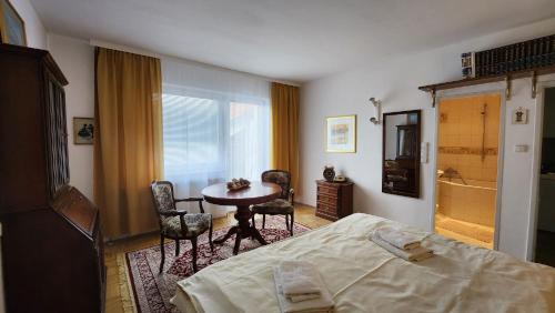 Innere Stadt Apartment (am Ring)