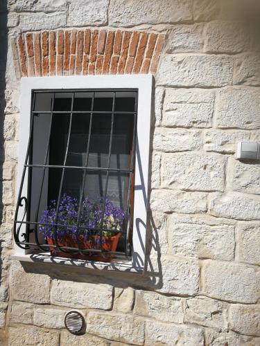 Φωτογραφία από το άλμπουμ του casa del corso 27 σε Sirolo