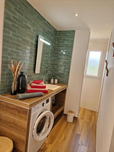 - une buanderie avec un lave-linge et un sèche-linge dans l'établissement T2 Neuf climatisé dans villa à Corbara, à Corbara