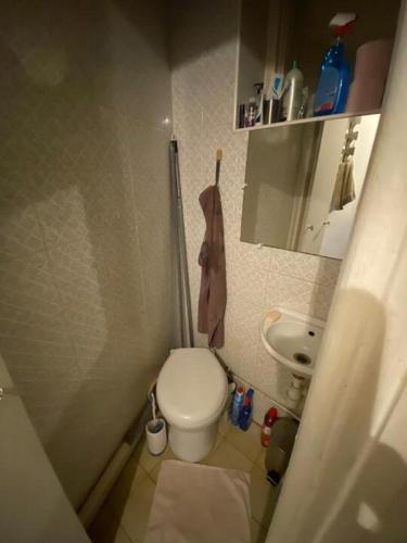 une petite salle de bain avec toilettes et lavabo dans l'établissement Élégance et Confort proche Bastille, à Paris