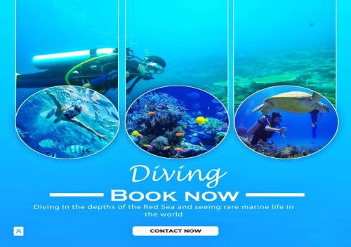 a flyer for a diving book now showing four photos of the reef sea and seeing at Davinci Beach Resort in Hurghada