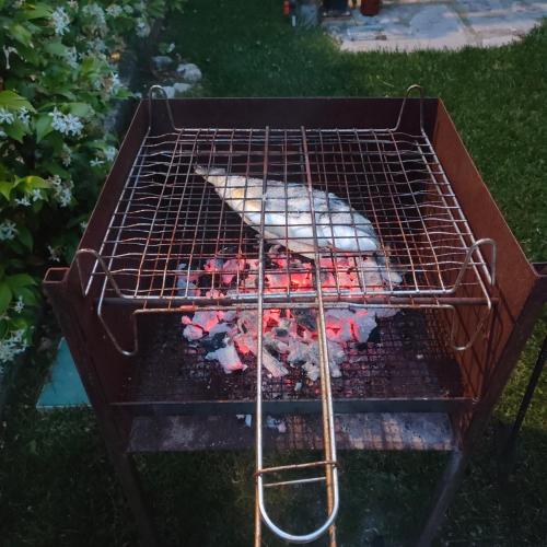 Un pollo cocinándose en una parrilla en el césped en Umbria Valnerina , Il TARTUFFO, sulla via di Francesco, en Scheggino